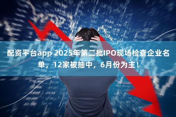 配资平台app 2025年第二批IPO现场检查企业名单，12家被抽中，6月份为主！