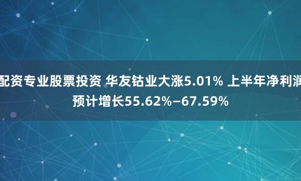 配资专业股票投资 华友钴业大涨5.01% 上半年净利润预计增长55.62%—67.59%