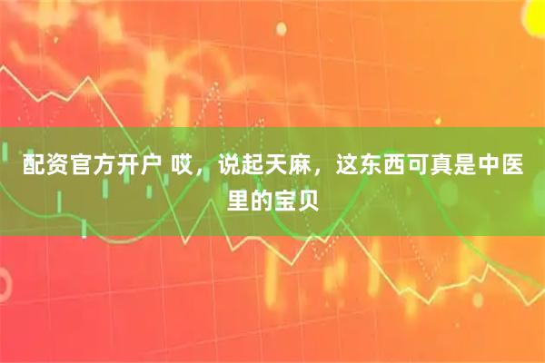 配资官方开户 哎，说起天麻，这东西可真是中医里的宝贝