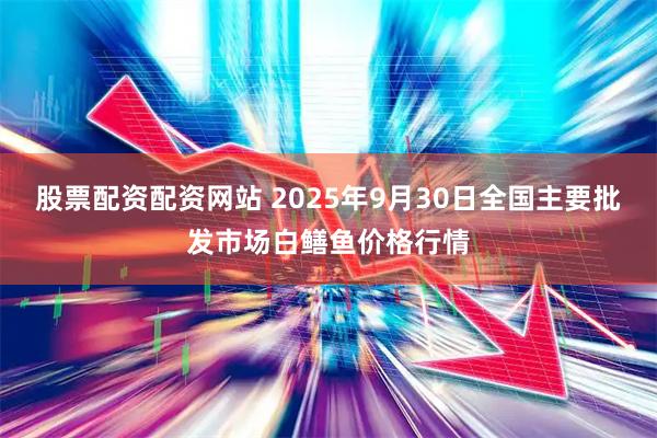 股票配资配资网站 2025年9月30日全国主要批发市场白鳝鱼价格行情